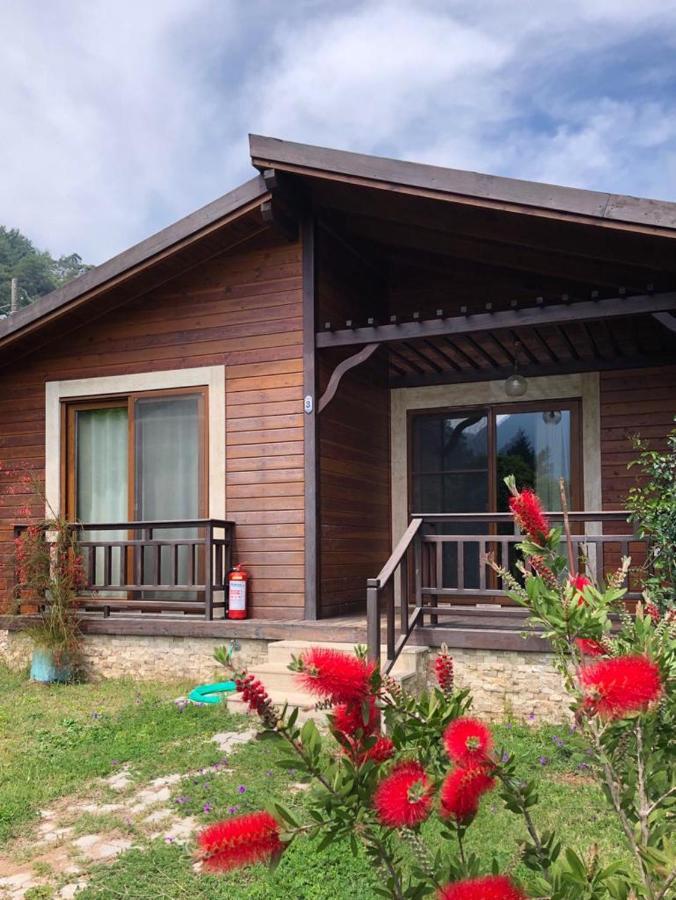 Villa Bilge Çıralı Ngoại thất bức ảnh