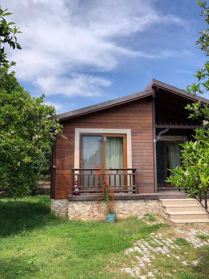 Villa Bilge Çıralı Ngoại thất bức ảnh